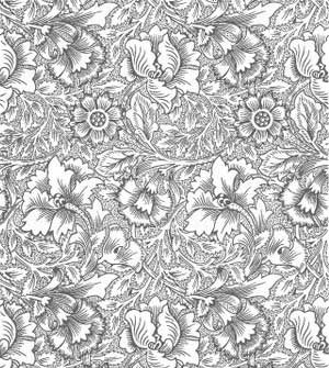 Download Color1 Jpg SVG Cut Files